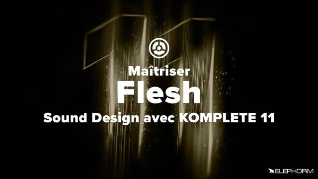 Maîtriser Flesh - Sound Design avec Komplete 11