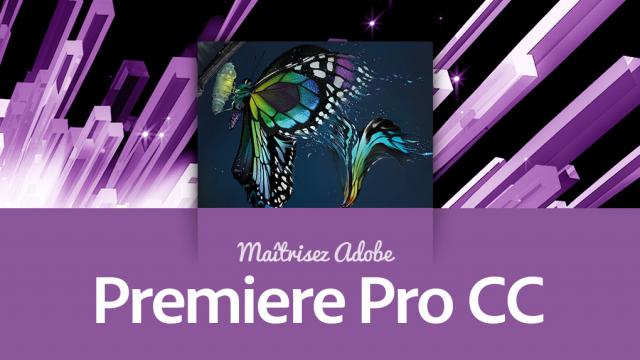Maîtriser Premiere Pro CC