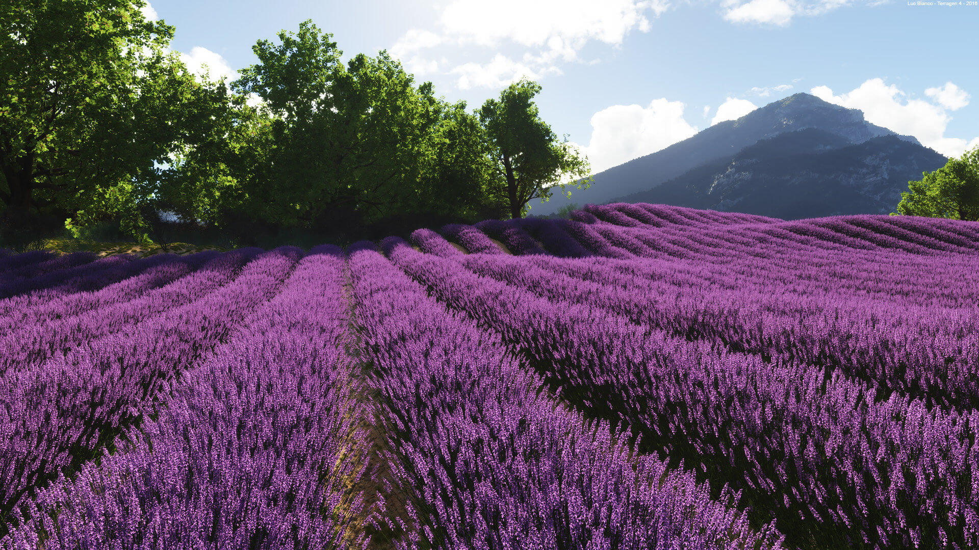 Paysage 3D - Terragen - Crédit Luc Bianco
