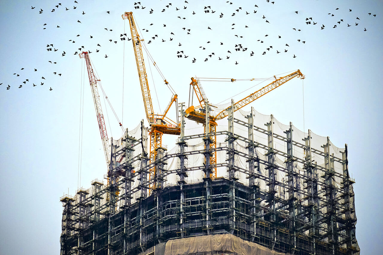 Building CMS