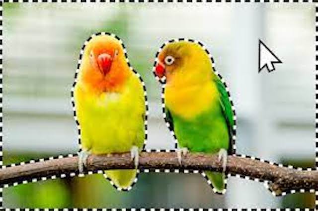photoshop elements