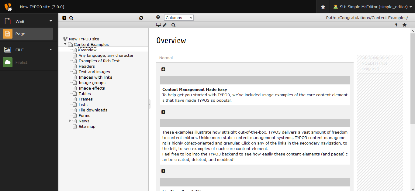 Typo3