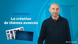 Maîtriser WordPress