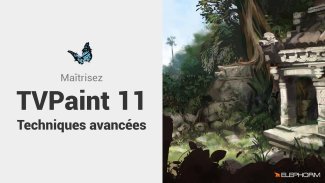Maîtrisez TVPaint 11
