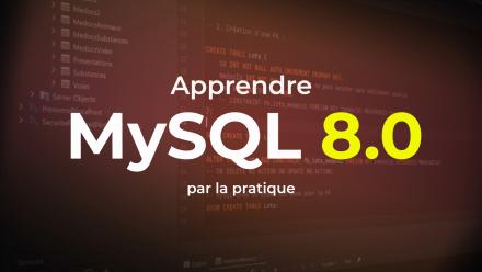 Apprendre MySQL 8.0 par la pratique (image de couverture)