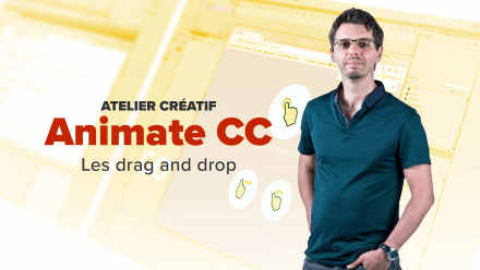 Maîtriser Adobe Animate CC 2017