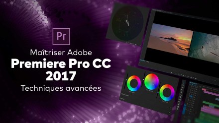 Maîtriser Premiere Pro CC 2017