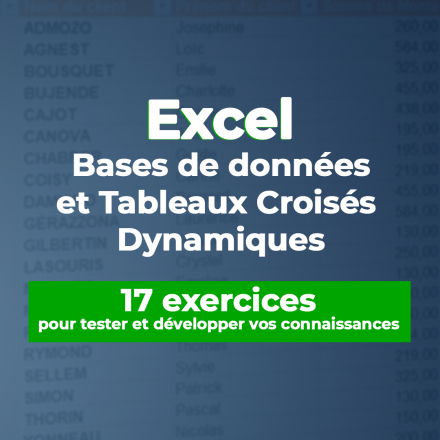 Bases de données et Tableaux Croisés Dynamiques : 17 exercices pour tester ou développer vos connaissances