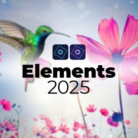 Elements 2025 - (image de couverture format carré)
