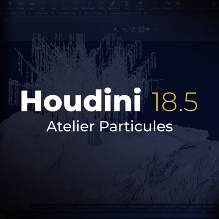 Houdini 18.5 - Atelier Particles