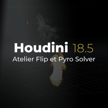 Houdini 18.5 - Atelier Flip et Pyro solver