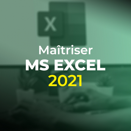 Maîtriser Excel 2021