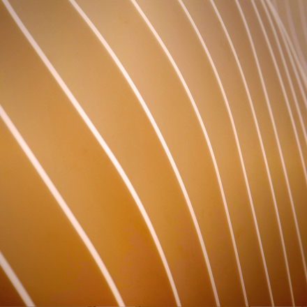 Pack Illustrator CC 2019