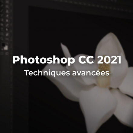 Apprendre Photoshop CC 2021 - Techniques avancées