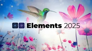 Pack Elements 2025