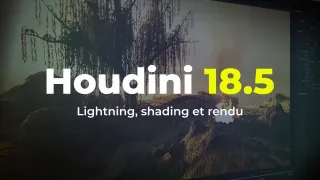 Houdini 18.5 - Lightning, shading et rendu