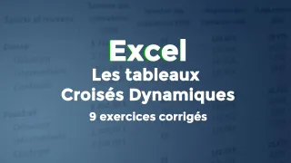 Les Tableaux Croisés Dynamiques : 9 exercices et corrigés