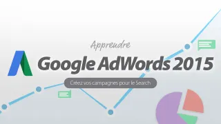 Apprendre Google AdWords 2015 - Créez vos campagnes pour le Search