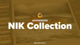 Apprendre Nik Collection 2018