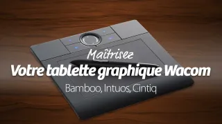 Maîtriser votre tablette graphique Wacom - Edition 2012