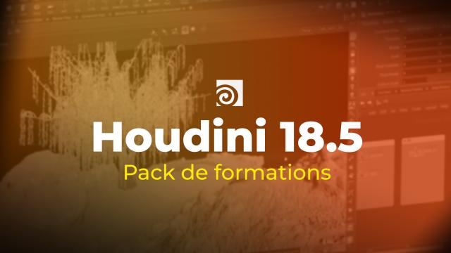 Pack de formations Houdini 18.5