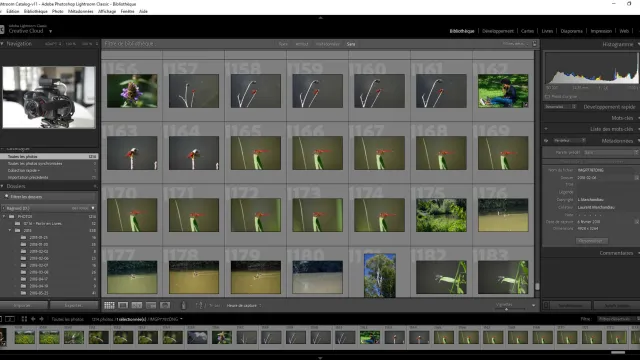 Lightroom - crédits Laurent Marchandiau