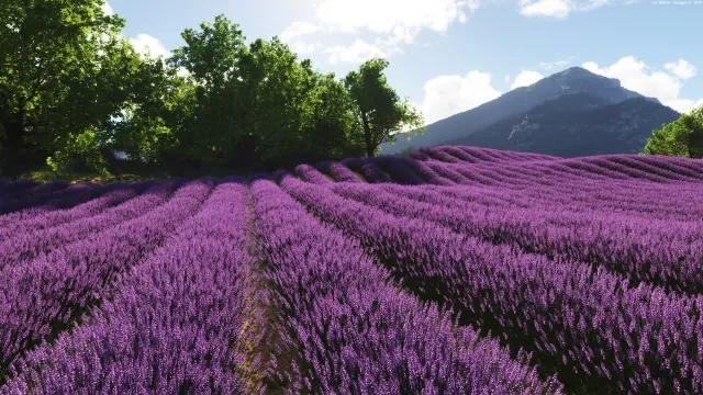 Paysage 3D - Terragen - Crédit Luc Bianco