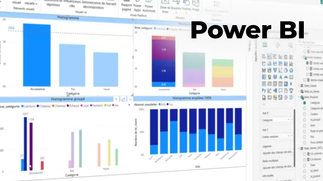 Maîtriser les fondamentaux de Power BI