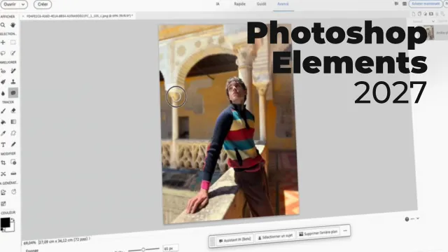 Maîtriser Photoshop Elements 2027