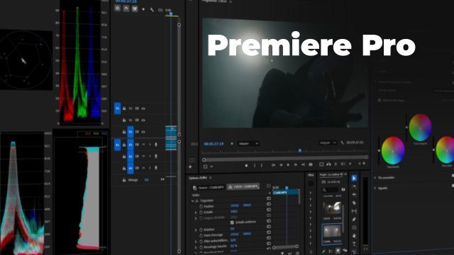 Premiere Pro 2025 - Colorimétrie et étalonnage