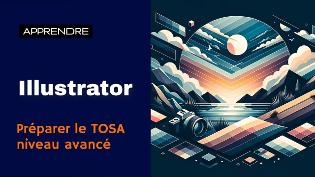 Apprendre Illustrator Préparer le TOSA niveau avancé