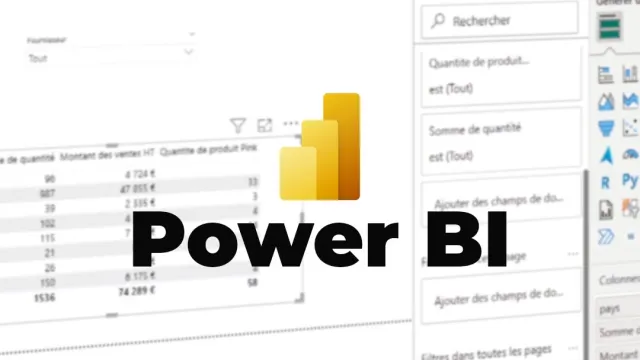 Maîtriser Power BI Desktop