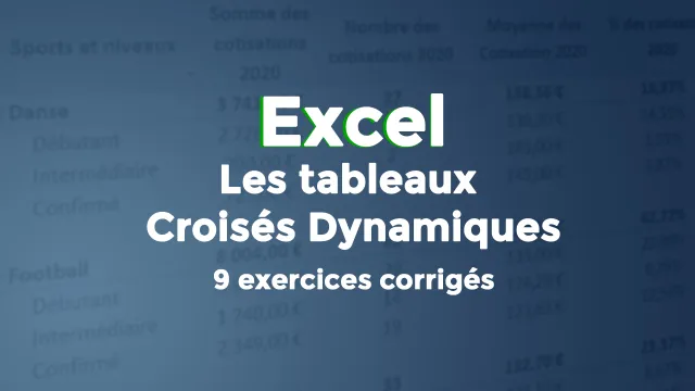 Les Tableaux Croisés Dynamiques : 9 exercices et corrigés