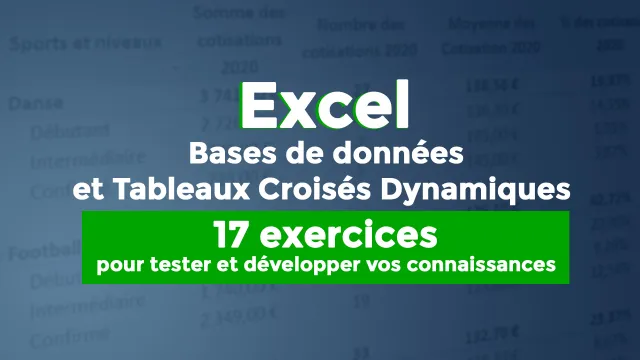 Bases de données et Tableaux Croisés Dynamiques : 17 exercices pour tester ou développer vos connaissances