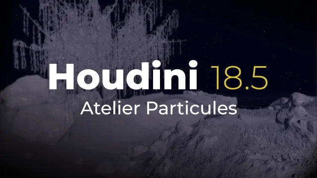 Houdini 18.5 - Atelier Particles