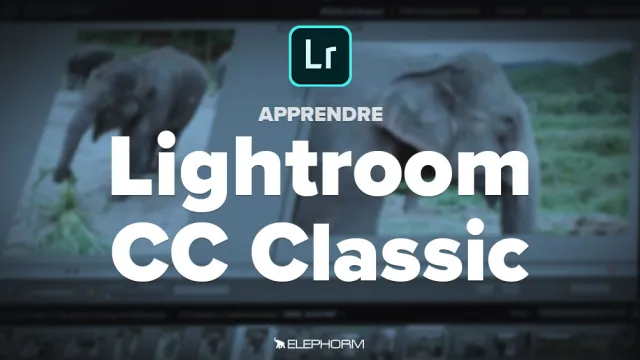 La gestion du catalogue Lightroom Classic CC
