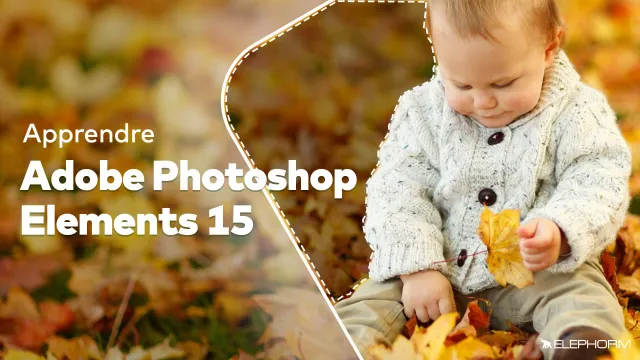 Apprendre Photoshop Elements 15 - Tout sur la retouche Photo