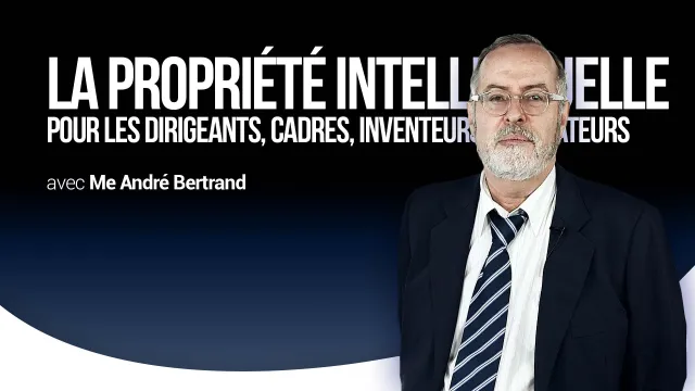 La propriété intellectuelle - Pour les dirigeants, cadres, inventeurs et créateurs