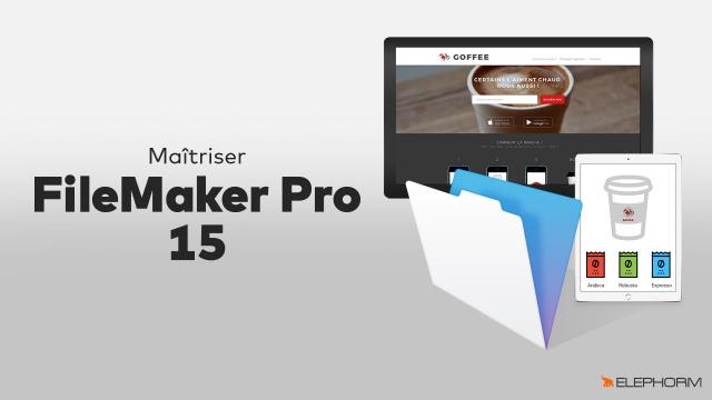 Maîtriser FileMaker Pro 15