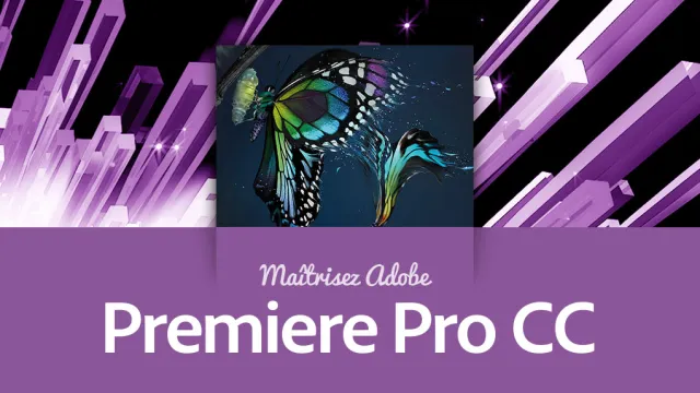 Maîtriser Premiere Pro CC - La formation la plus complète