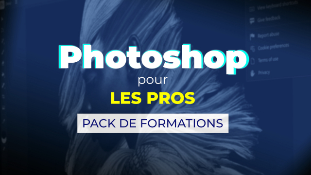 Photoshop pour les pros