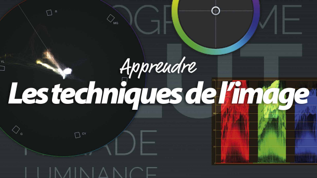 Apprendre les techniques de l'image - Analyser et corriger l'image vidéo