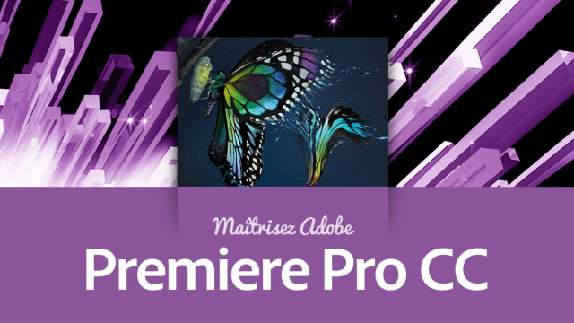 Maîtriser Premiere Pro CC - La formation la plus complète